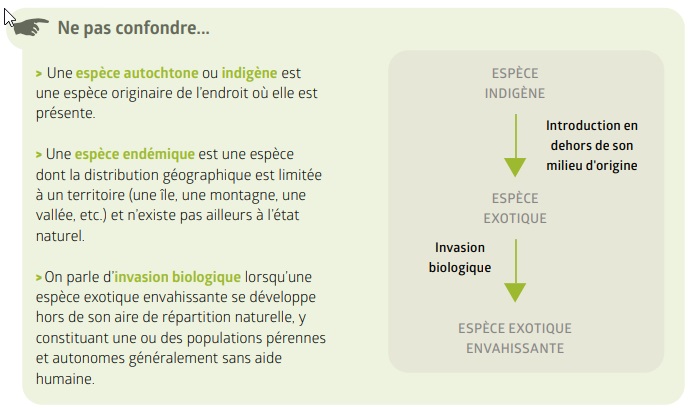 Définition de la classification des espèces (autochtone ou indigène et endémique) et de ce qu'on entend par "invasion biologique"